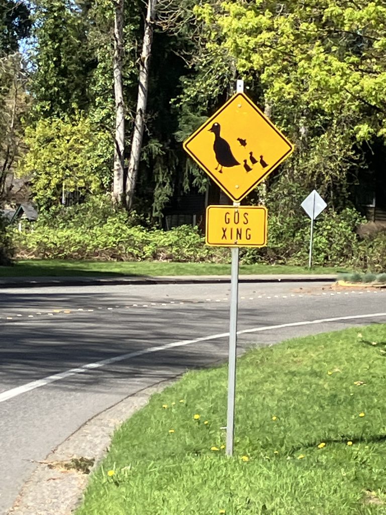 The dot over the U makes it sound like "Goose"